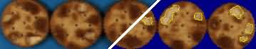 Cracker biscuits; part of image shows broken blisters extracted by image segmentation